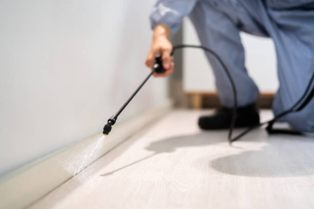 Licensed Termite Control service in Denton County County, TX - Nex Pest Control