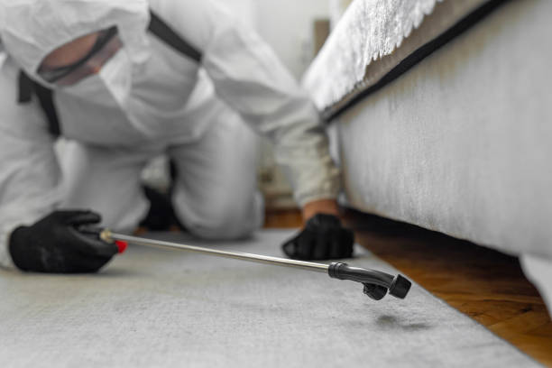 Professional Termite Control technician working in Denton County County, TX